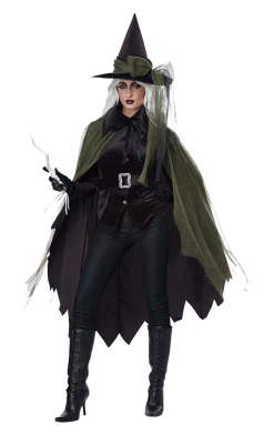 California Costumes Gothic Witch Halloween Costume All Themes