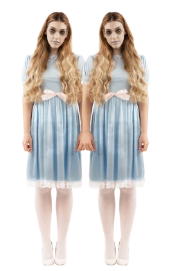 Orion Costumes Womens The Shining Twin Costume Adult Costumes
