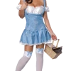 Rubies Womens Sexy Dorothy Outfit All Themes