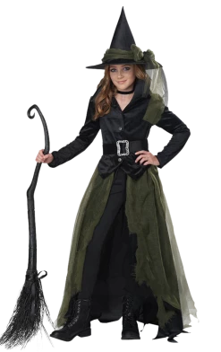 California Costumes All Themes Girls Cool Witch Costume