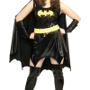 Rubies Batgirl Sexy Hero Costume (Plus Size)