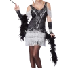California Costumes All Themes Ladies Razzle Dazzle Costume