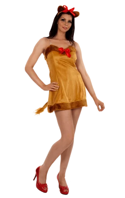 RG Costumes & Accessories All Themes Lion Dress Costume