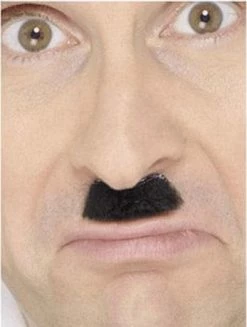 Bristol Novelty Black Charlie Chaplin Moustache Accessory All Themes