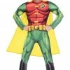 Generic Men's Classic Robin Costume