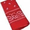 Bristol Novelty All Themes Western Red Bandana