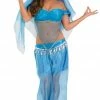Generic Womens Arabian Princess Costume
